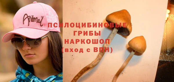 бошки Алексеевка