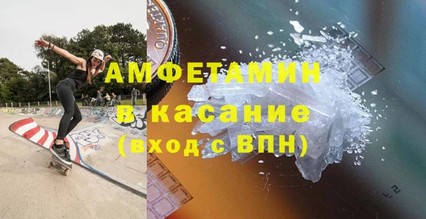мет Алексин