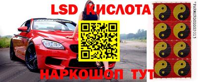 ГАЛЛЮЦИНОГЕННЫЕ ГРИБЫ Шебекино