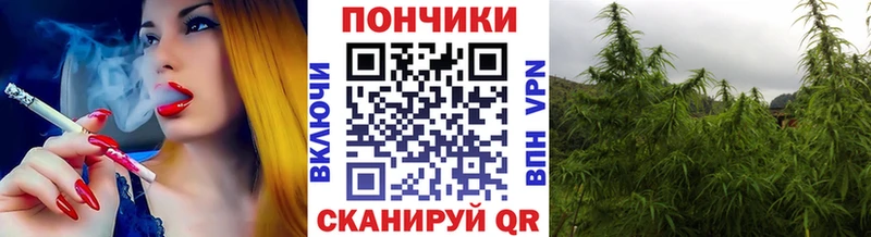 Конопля индика Северодвинск